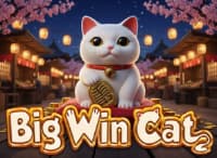 Big Win Cat